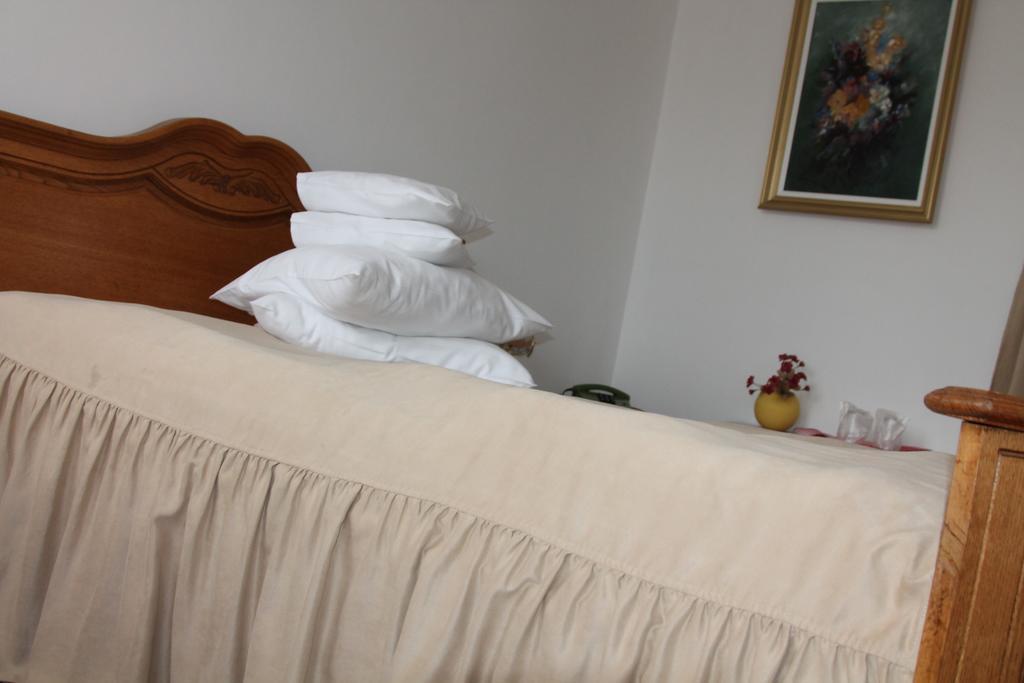 Hotel Zimbru Câmpulung Moldovenesc Rum bild